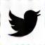 X (formerly Twitter) icon